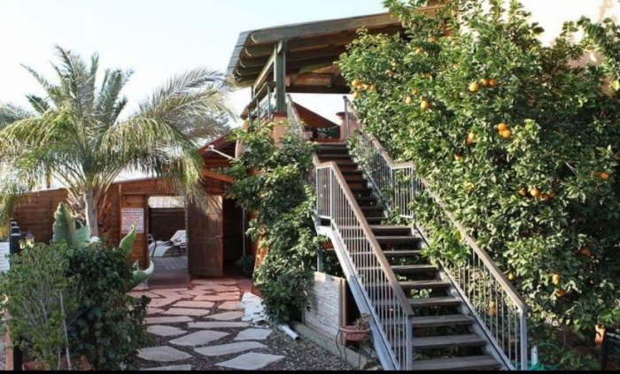 gallery_picture