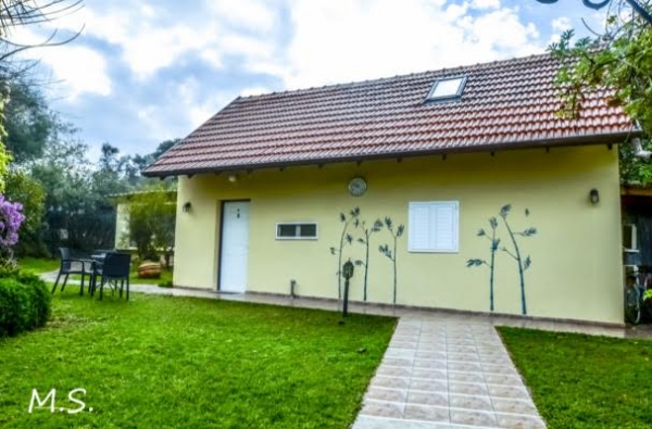 gallery_picture