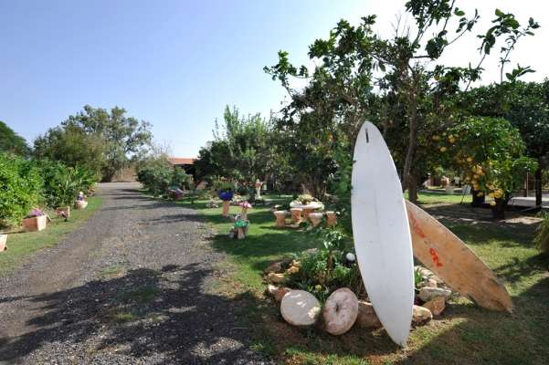 gallery_picture