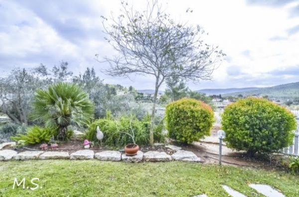 gallery_picture
