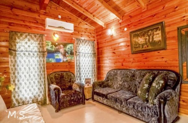gallery_picture