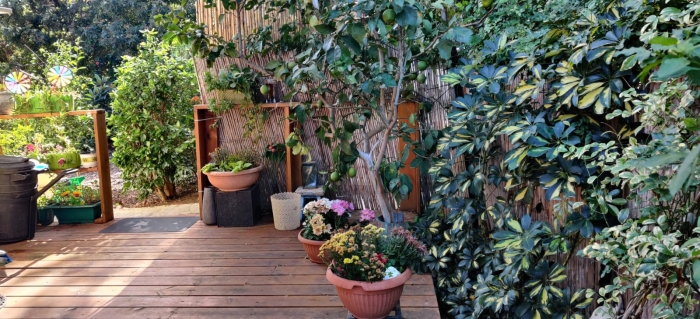 gallery_picture