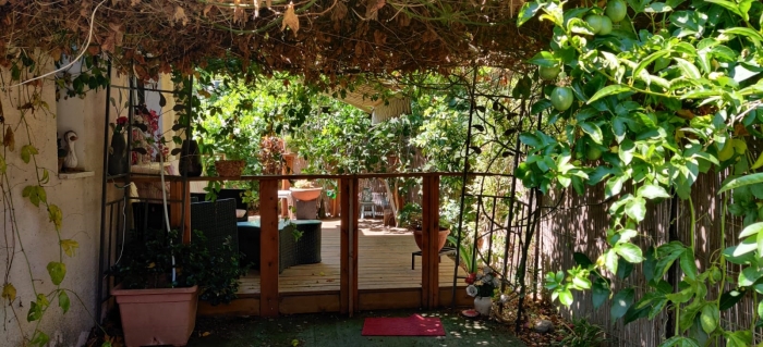 gallery_picture