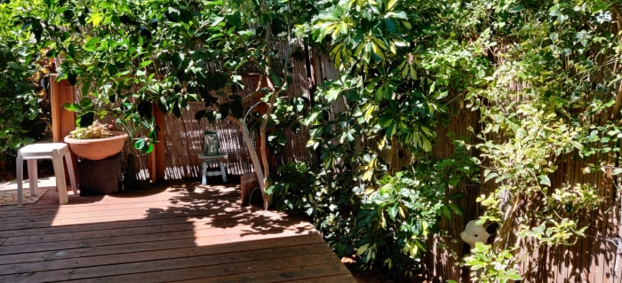 gallery_picture