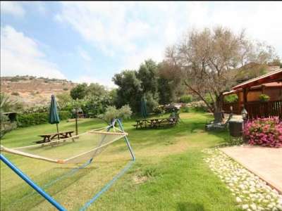 gallery_picture