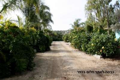 gallery_picture