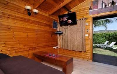 gallery_picture