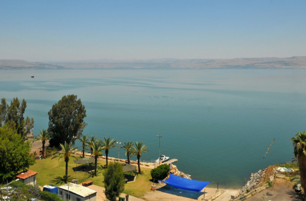 gallery_picture
