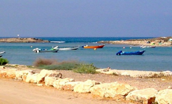 gallery_picture