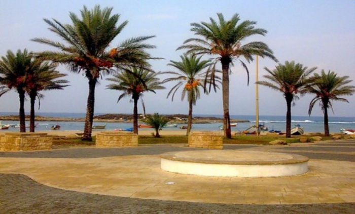 gallery_picture